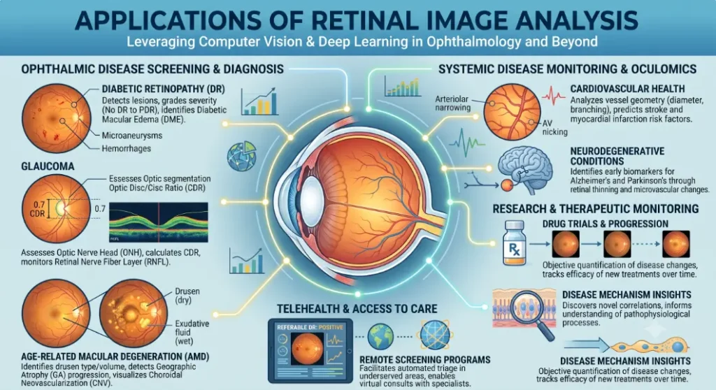 Infographic on AI applications in retinal analysis- retinal image analysis applications 2